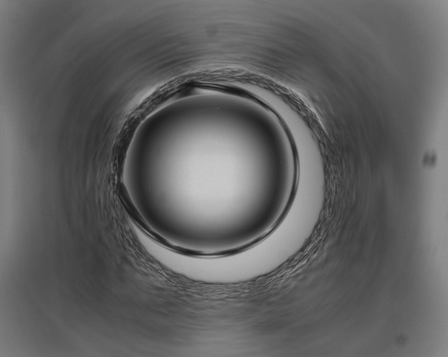 X0000096980871200802151328