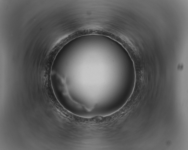 X0000096980872200802151328