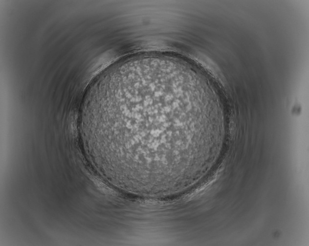 X0000096980873200802151328