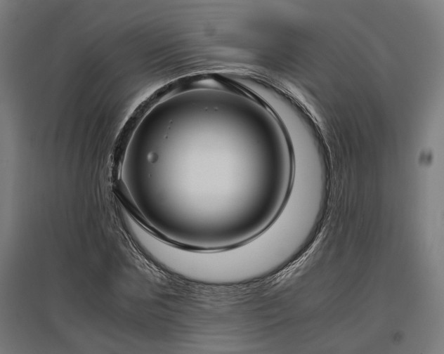 X0000096980875200802151328