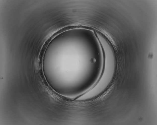 X0000096980876200802151328