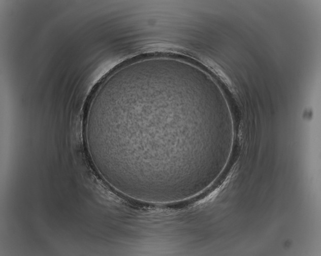 X0000096980877200802151328