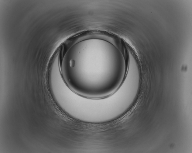 X0000096980879200802151328