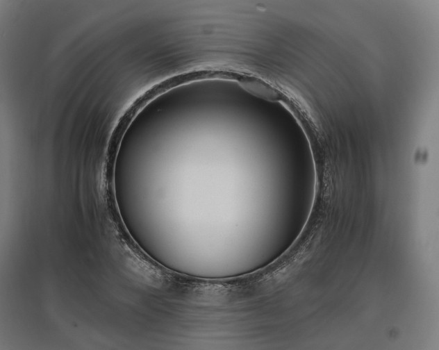 X0000096980880200802151328