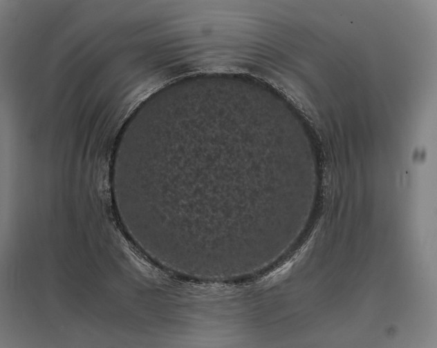 X0000096980881200802151328