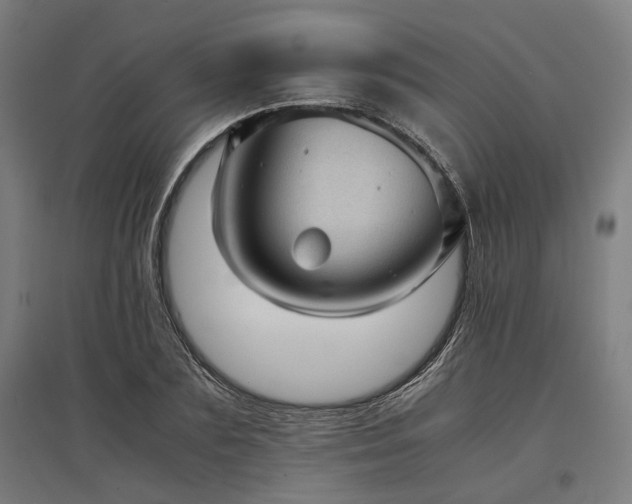 X0000096980883200802151328