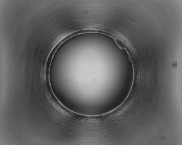 X0000096980884200802151328