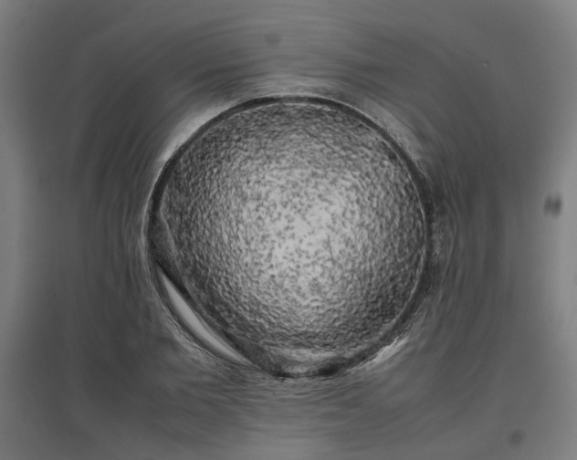 X0000096980885200802151328