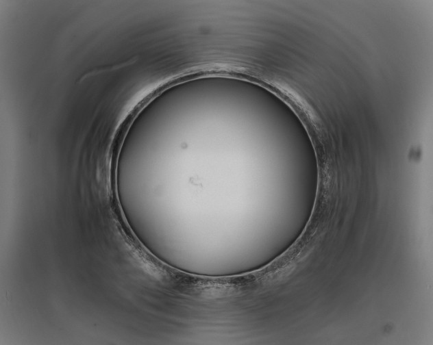 X0000096980886200802151328