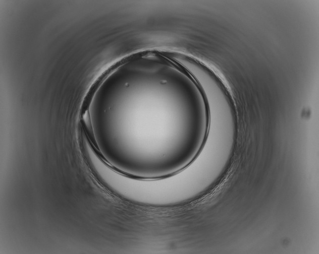 X0000096980887200802151328