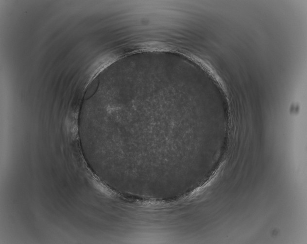 X0000096980889200802151328