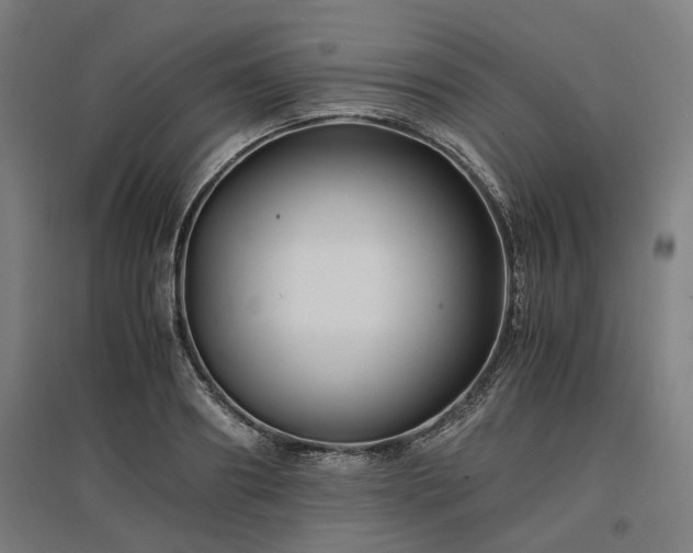 X0000096980890200802151328