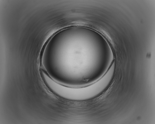 X0000096980891200802151328