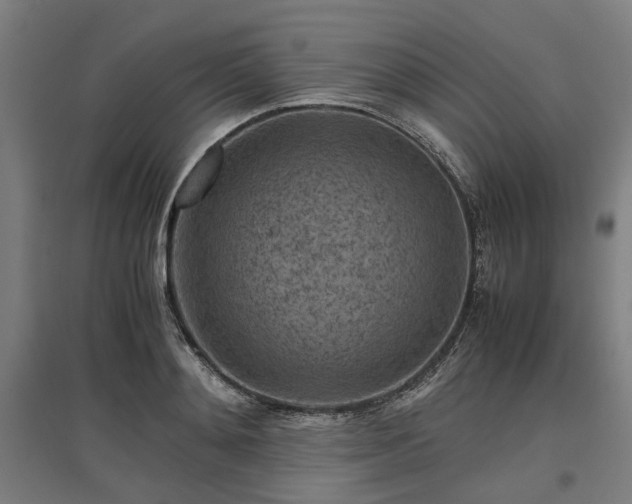 X0000096980892200802151328