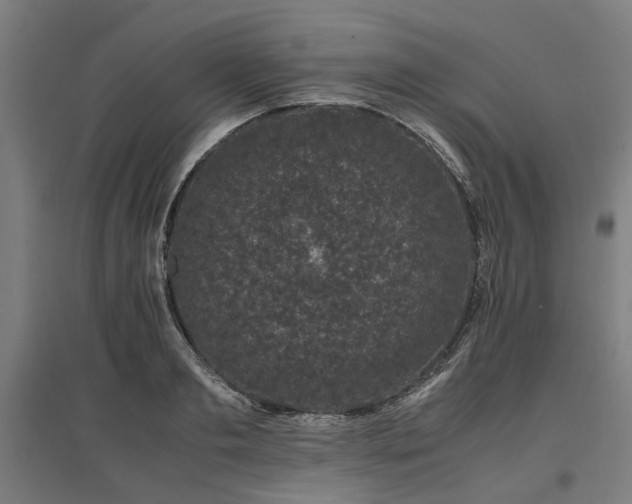 X0000096980893200802151328