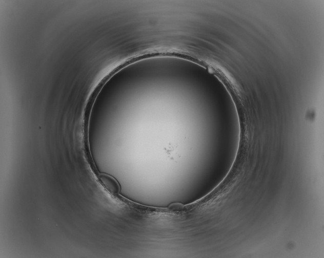 X0000096980894200802151328