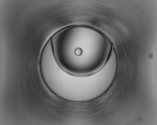 X0000096980895200802151328