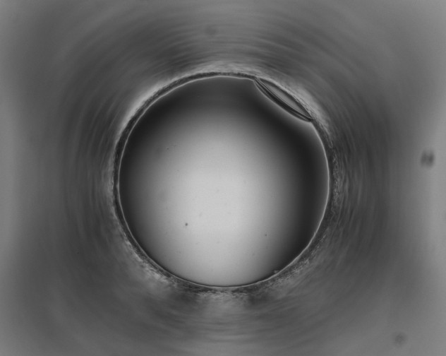 X0000096980896200802151328