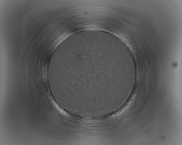 X0000096980897200802151328