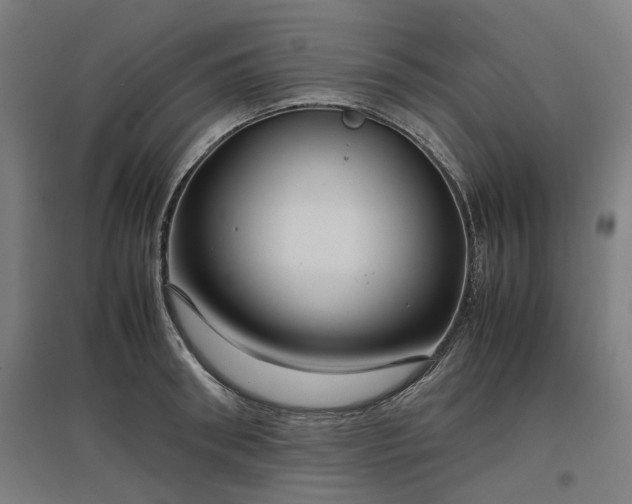 X0000096980898200802151328