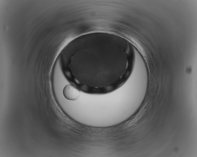 X0000096980899200802151328