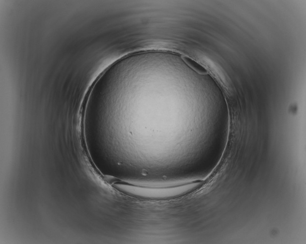 X0000096980900200802151328