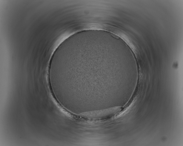 X0000096980901200802151328