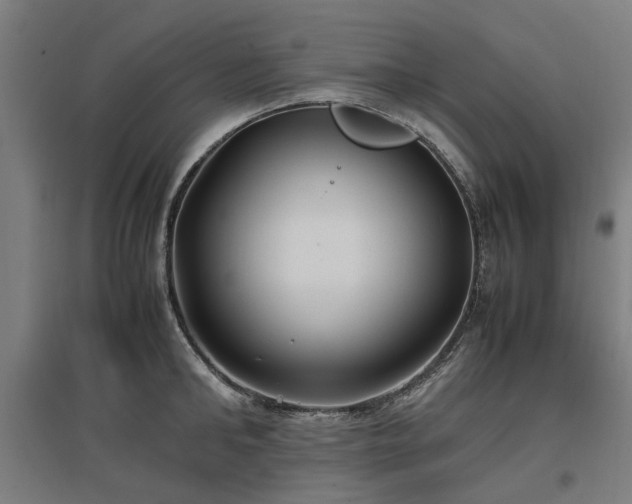 X0000096980902200802151327