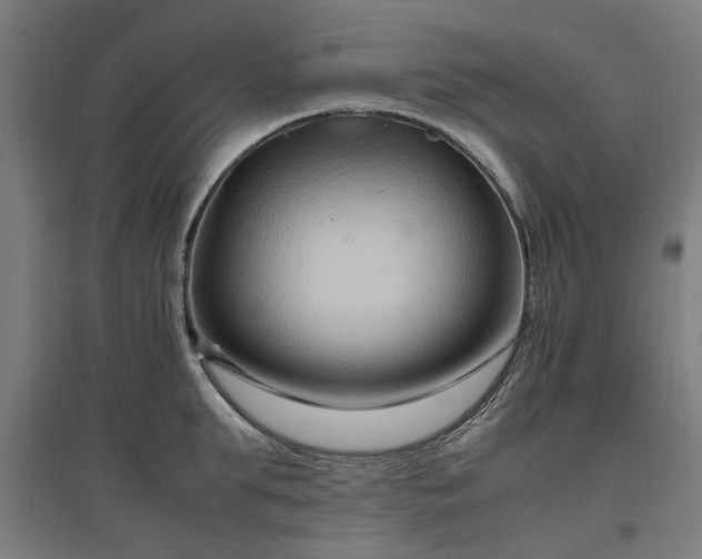 X0000096980903200802151327