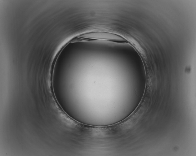 X0000096980904200802151327