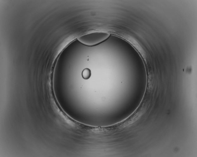 X0000096980906200802151327