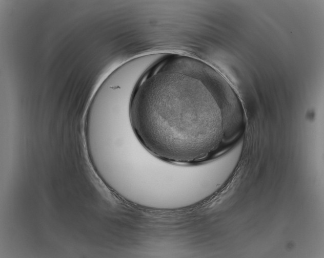 X0000096980907200802151327