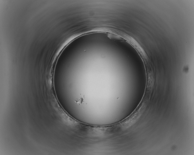 X0000096980908200802151327