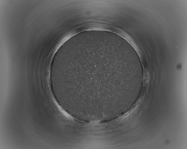 X0000096980909200802151327