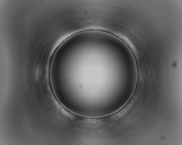 X0000096980910200802151327