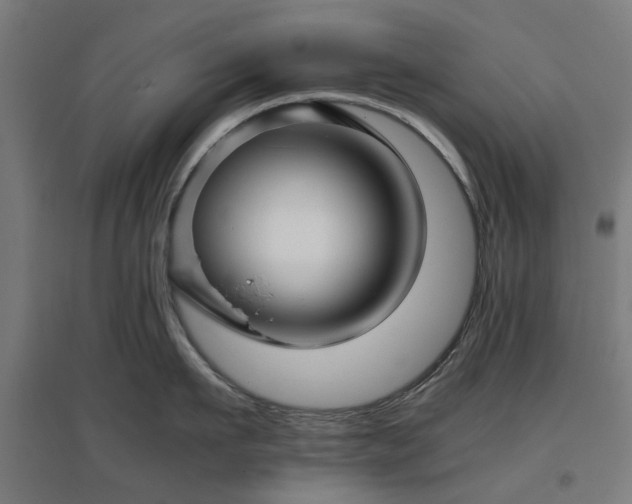 X0000096980911200802151327