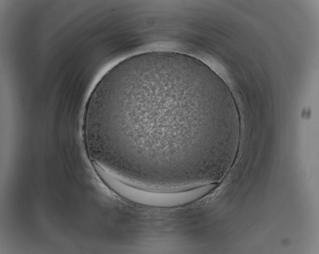 X0000096980912200802151327