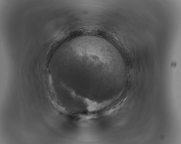 X0000096980913200802151327