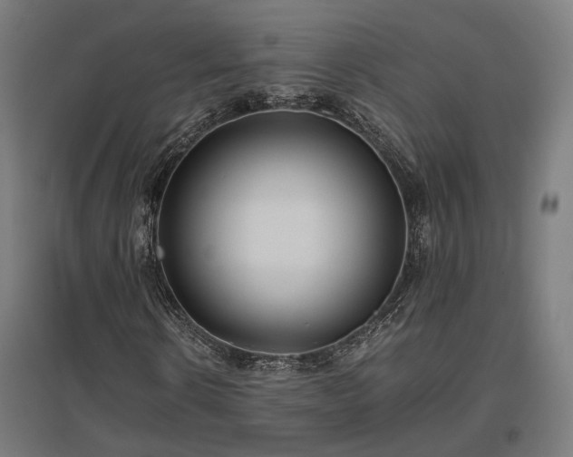 X0000096980914200802151327