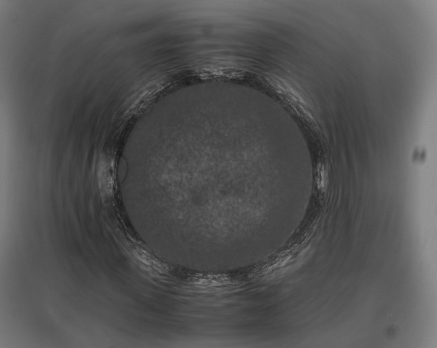 X0000096980915200802151327