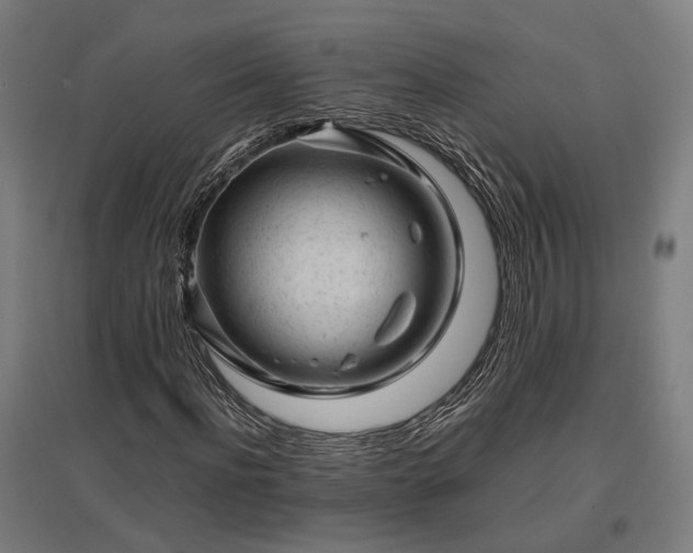 X0000096980916200802151327