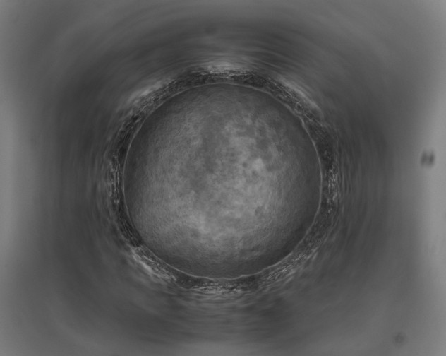 X0000096980917200802151327