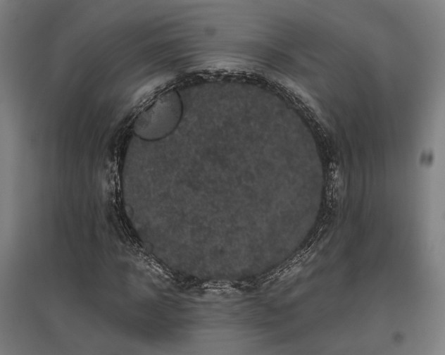 X0000096980918200802151327