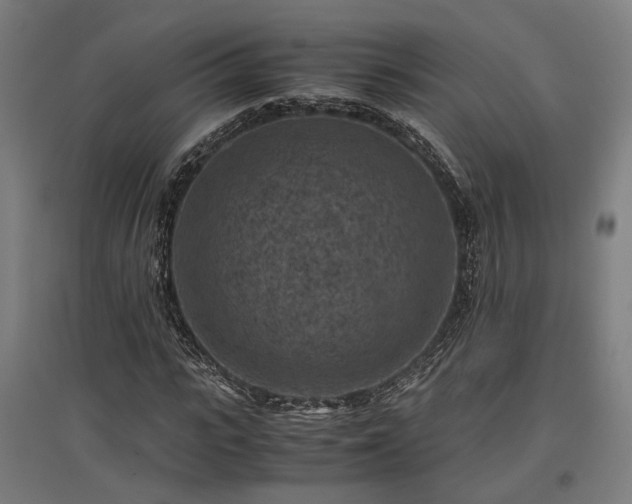 X0000096980919200802151327