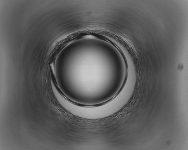 X0000096980920200802151327