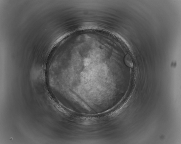 X0000096980921200802151327