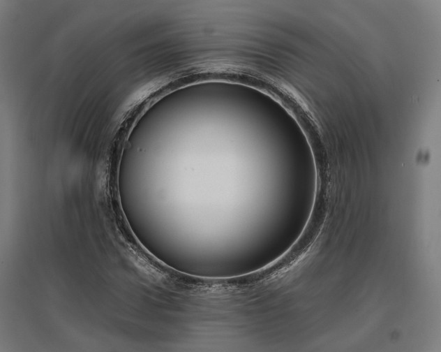 X0000096980922200802151327