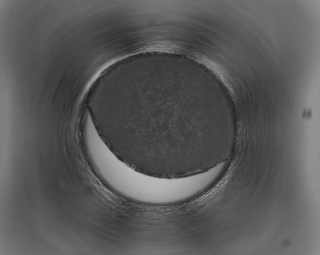 X0000096980923200802151327