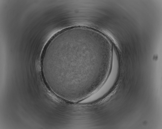 X0000096980924200802151327