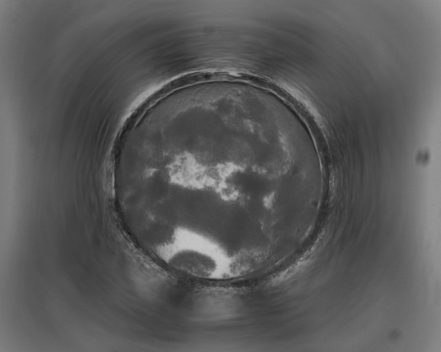 X0000096980925200802151327